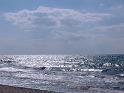 2008 - 010